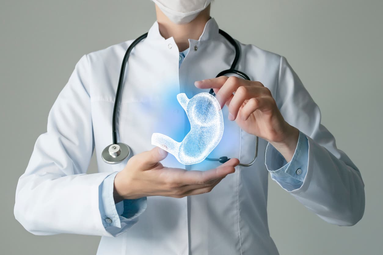 Gastroenterologist doctor, stomach specialist. Aesthetic handdrawn highlighted illustration of human stomach. Neutral grey background, studio photo and collage. stock photo