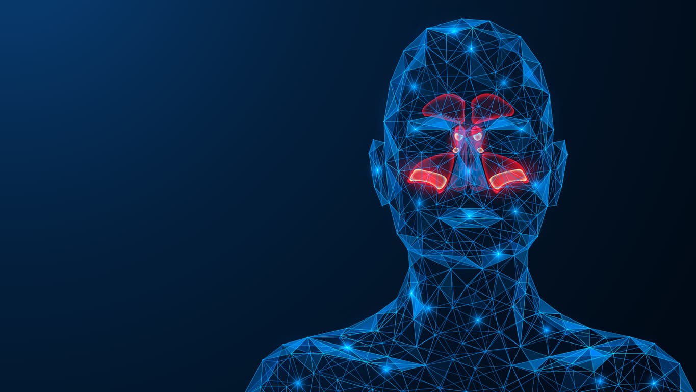 Sinusitis. stock illustration
